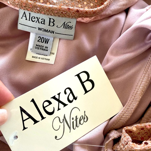 ALEX B NITES WOMAN ROSE GOLD SEQUIN  FORMAL DRESS PLUS SIZE 20W 🌟NWT🌟 - Picture 11 of 14